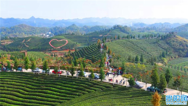 凤冈县成贵州省首批国家级全域森林康养试点建设县