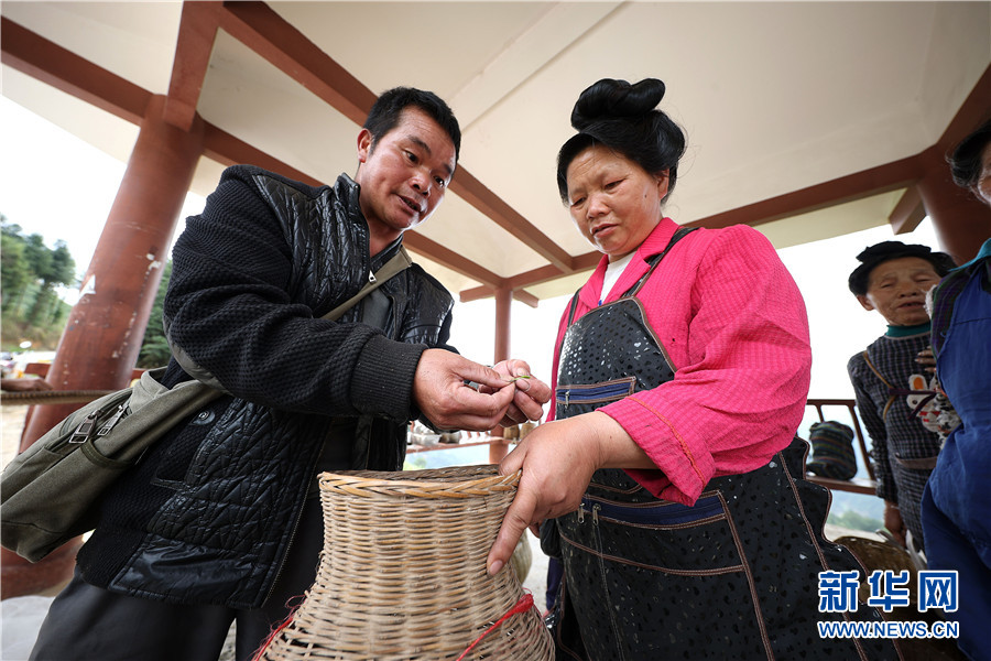 摄)3月15日,村民在贵州省黔东南苗族侗族自治州丹寨县龙泉镇马寨茶园