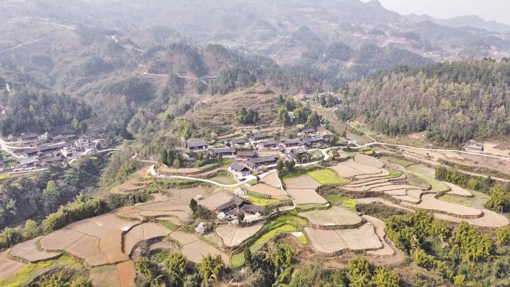 思南长坝镇农旅融合背后的诗和远方