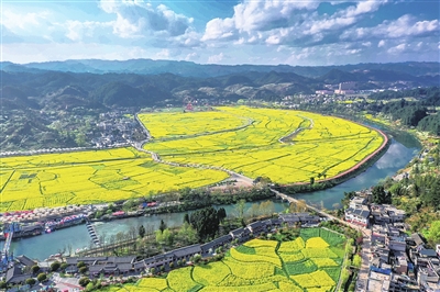 贵定县刺梨成为群众致富的"金果"贵州甘溪国家森林公园甘溪大道贵州