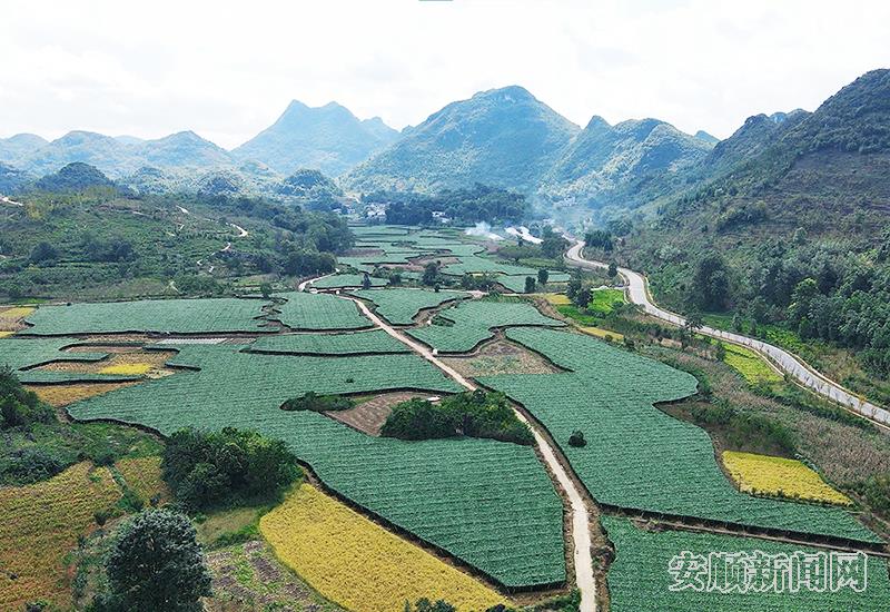 安顺镇宁马厂镇夯实战斗堡垒推动乡村振兴