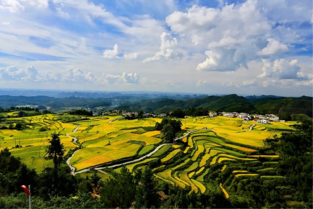 经济日报关注贵阳高坡美丽苗乡迎客来