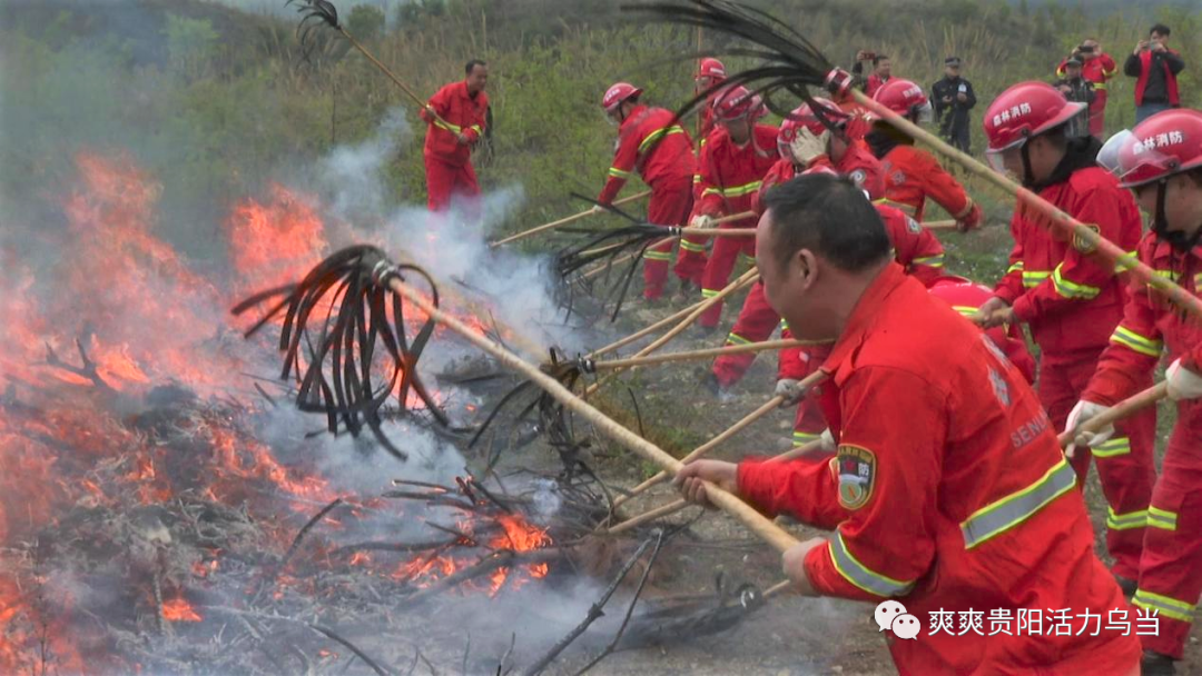 乌当区组织开展森林防火灭火联合应急演练