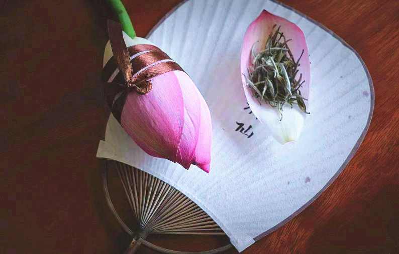 贵阳市少儿图书馆线下活动预告丨绘本阅读《西瓜和蚂蚁》、少儿茶修——“荷”以消暑，唯有茶清欢