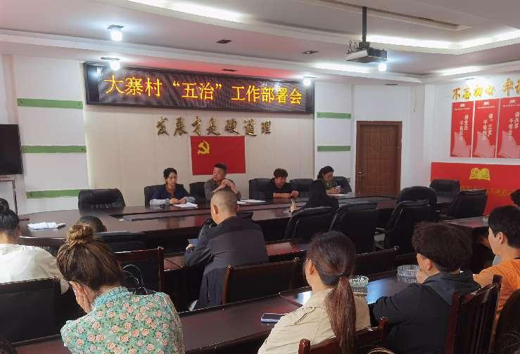 经开区平桥街道大寨村开展农村“治风”回头看工作