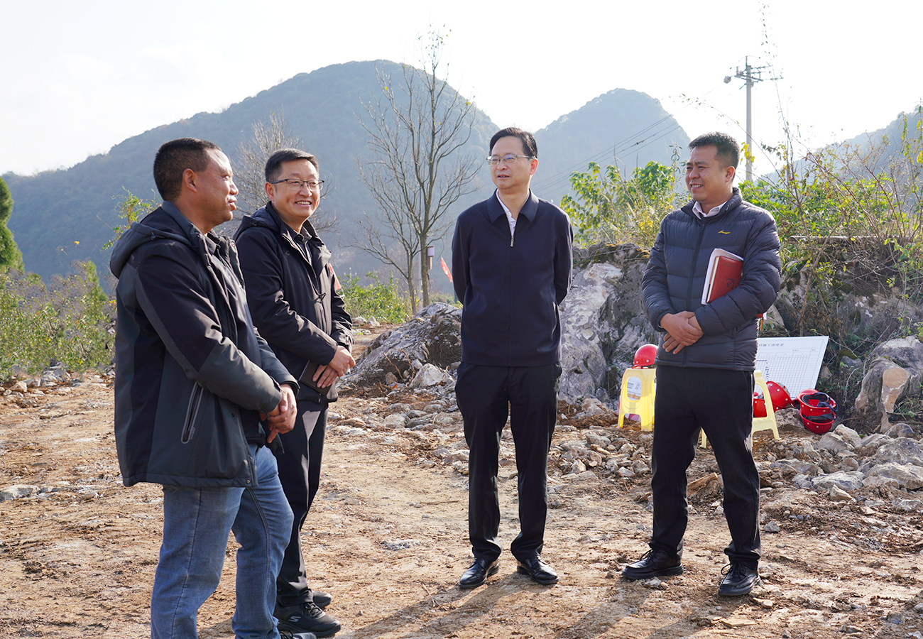 付涛调研村级集体经济发展及耕地保护工作