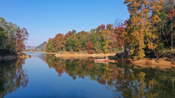 三岔河“枫景”如画