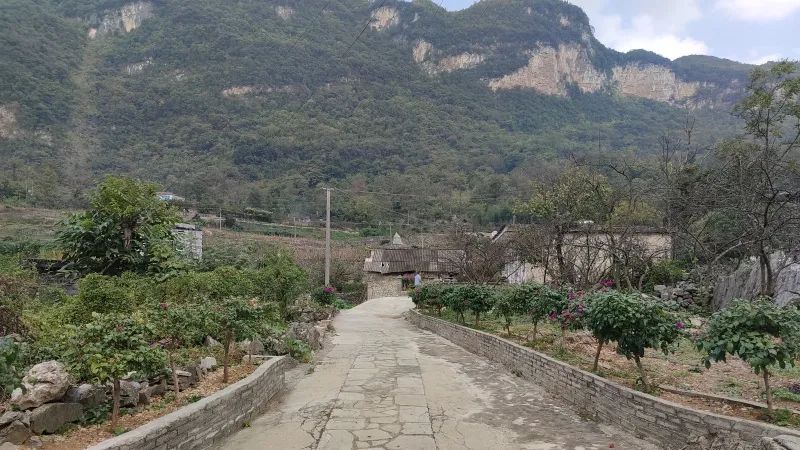修文县大石布依族乡“治房”治出乡村新风貌