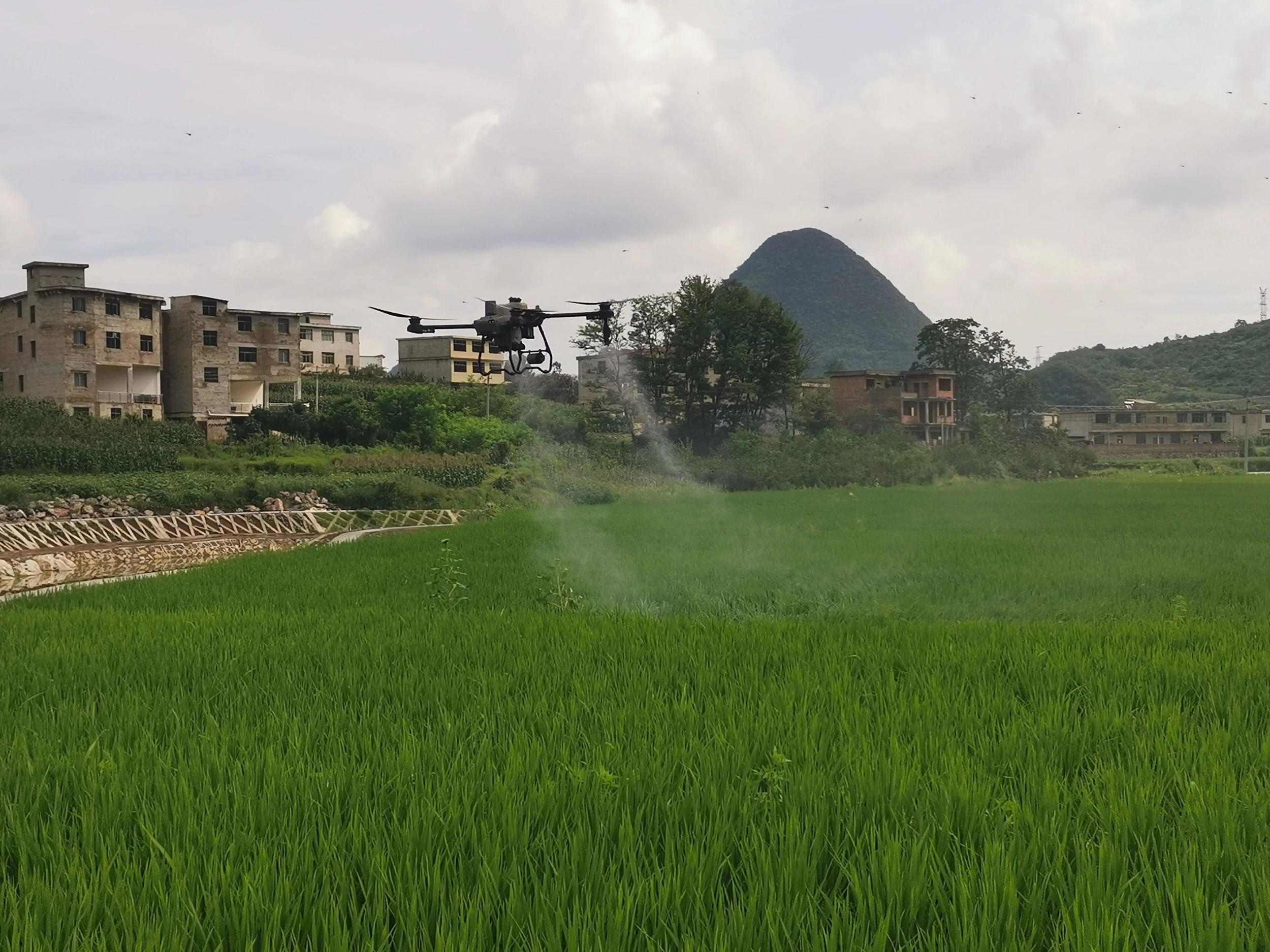 严把“四关” 让清镇农业走上绿色生态之路