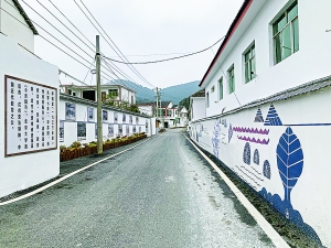南明区：抓好农村“五治” 增进民生福祉