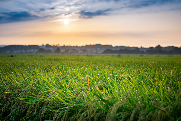 贵阳市农业农村局： 坚定不移强“三农” 奋勇争先站排头
