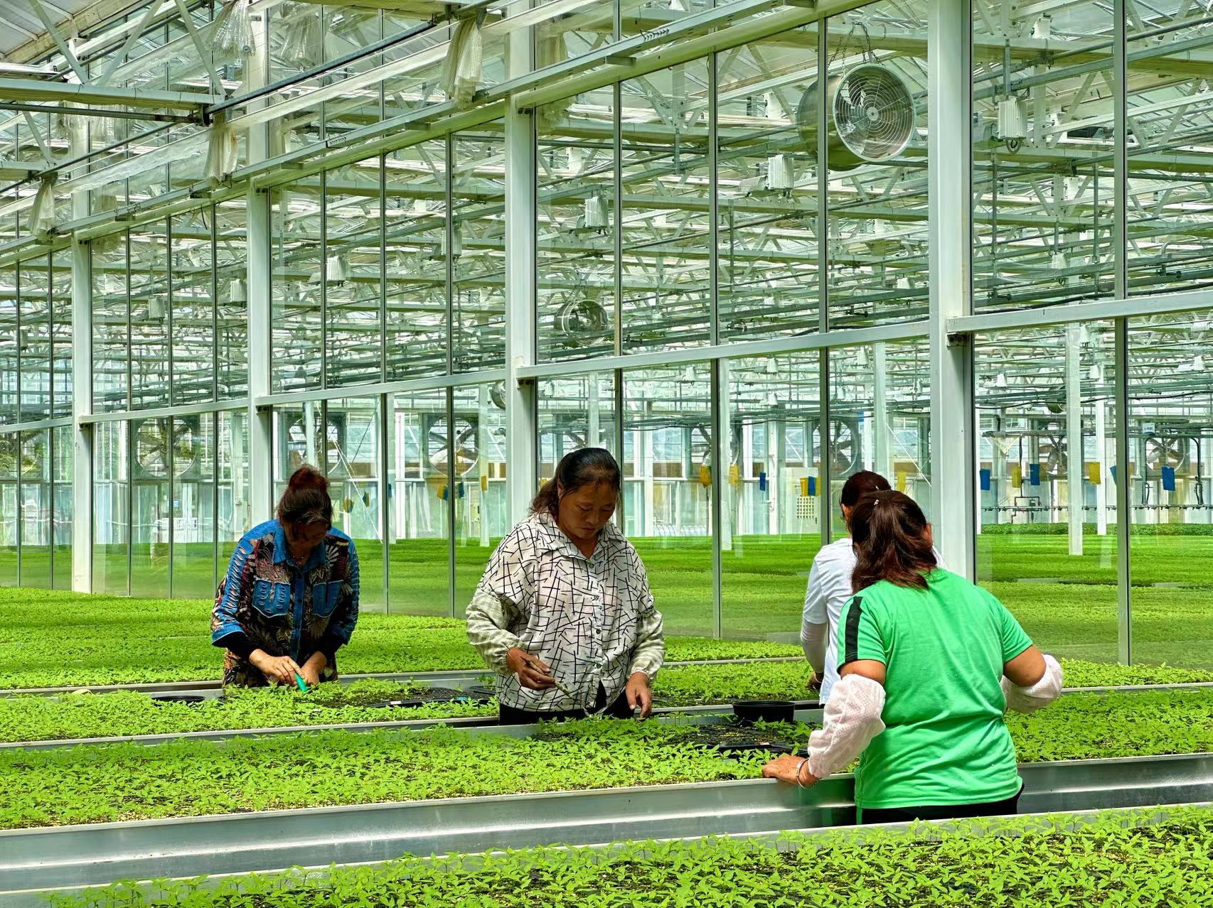 做好“三篇文章” 拓展“全产业链”——2023年贵阳市农投集团高质量发展综述