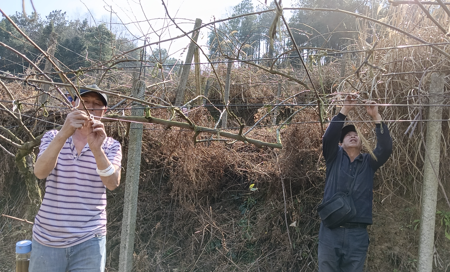 【奋进的春天】贵阳贵安：万象“耕”新 田间地头农时忙