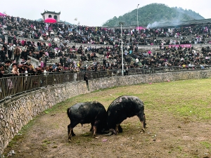 开阳县高寨乡：精彩民俗活动轮番上演