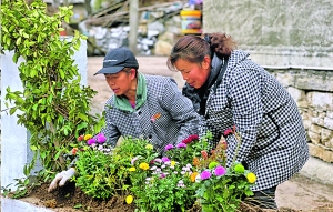 花溪区石板镇：种下美丽鲜花 扮靓和美乡村