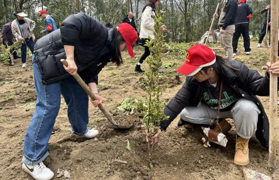 党旗飘扬添绿荫 不负春光启新篇——贵阳市农投集团组织开展植树志愿服务活动