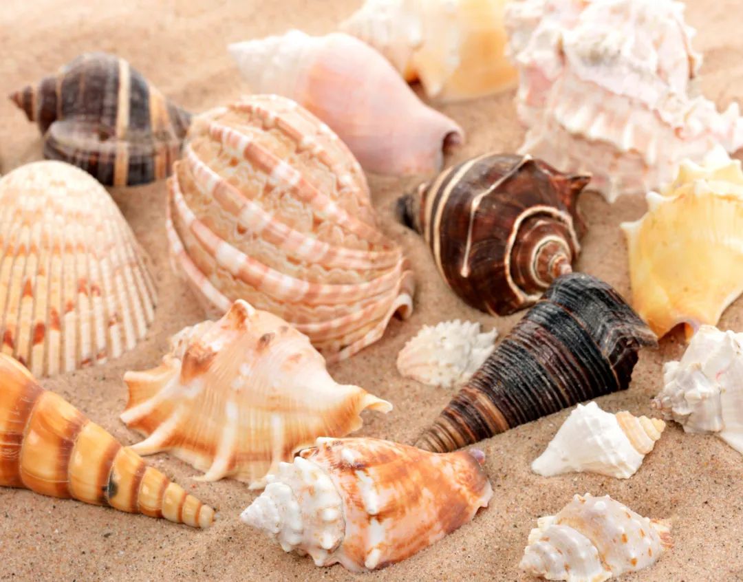 关于螺的消费提示