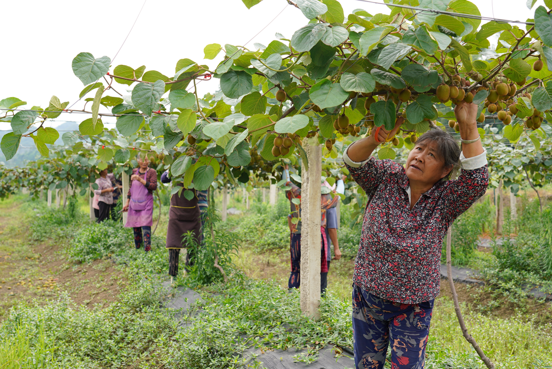 清镇：“四乡人才”助力乡村振兴