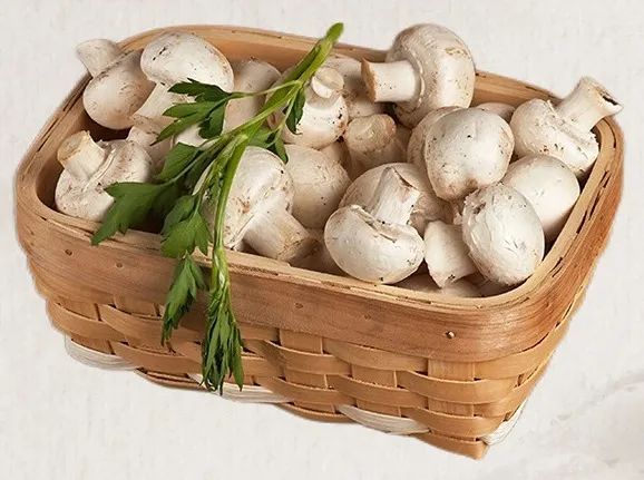 贵州省市场监督管理局关于食用野生菌的安全提示