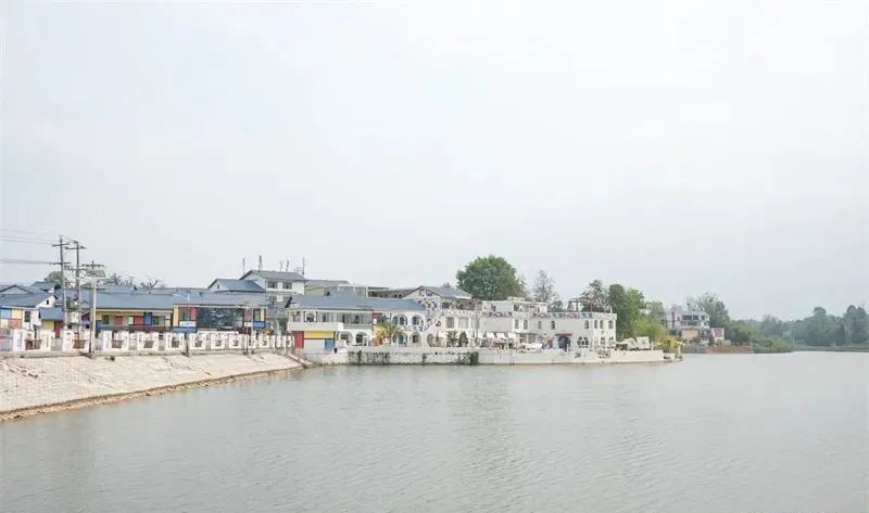 艺术赋能 造梦乡土——新农人王庆能的“村漂”故事