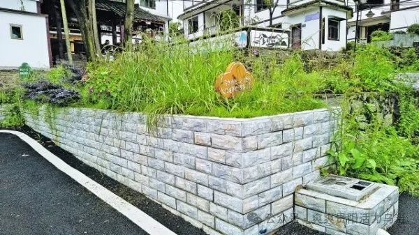 【聚焦农村“五治”】乌当区：马头村治水记