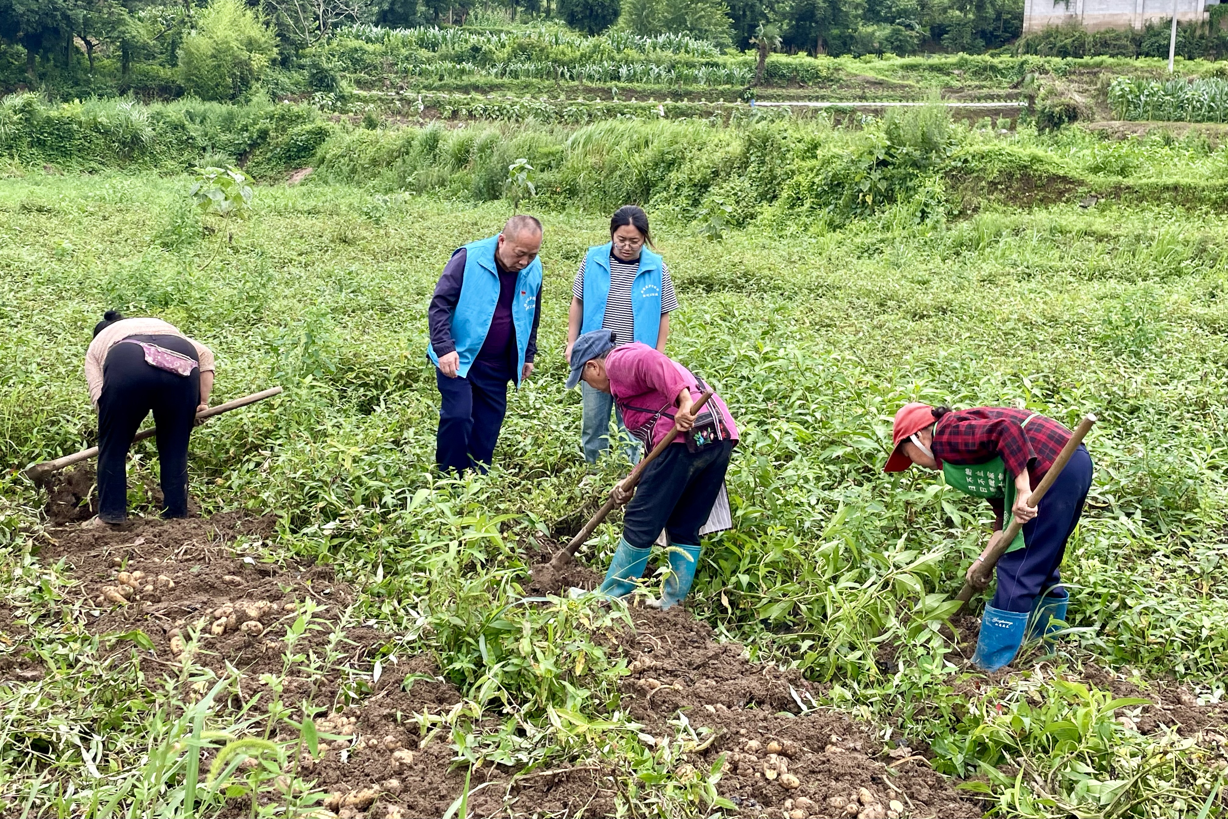 强基固本筑堡垒 党建领航正扬帆 ——白云区以党建引领推动经济社会高质量发展走笔