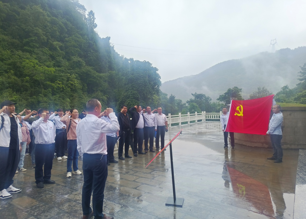 修文县税务局联合辖区企业开展迎“七一”主题党日活动