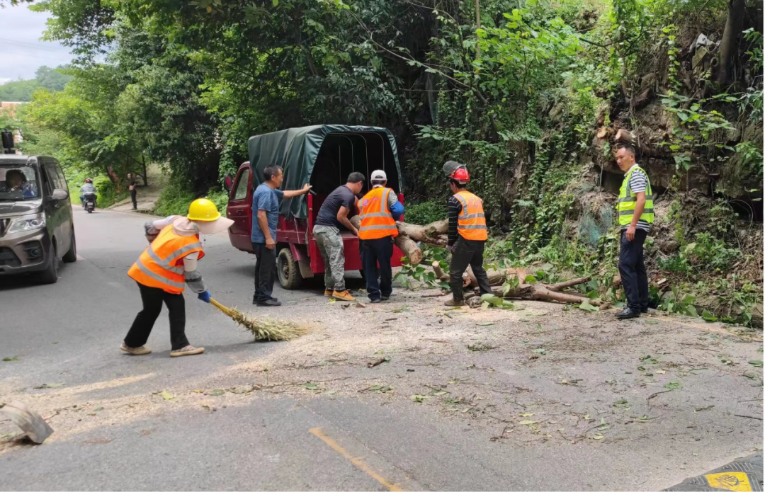 贵阳经开区：树木倾倒扰交通 多方联动保畅通
