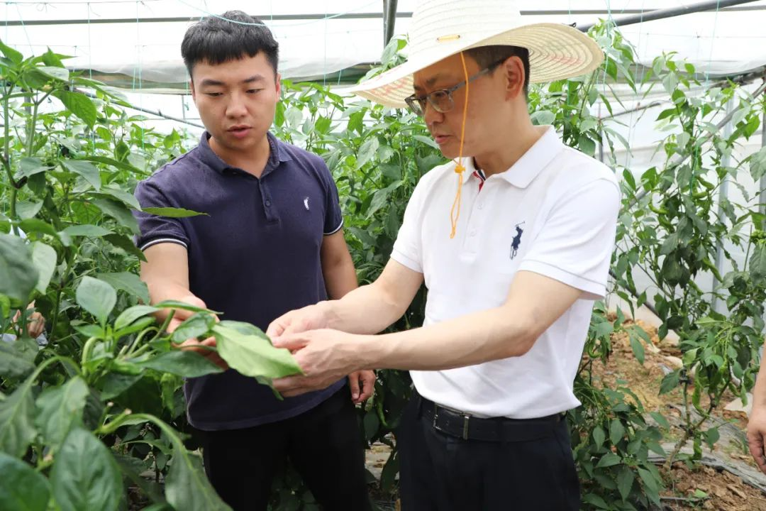 罗杨带队赴罗甸县茂井镇开展联系协作调研