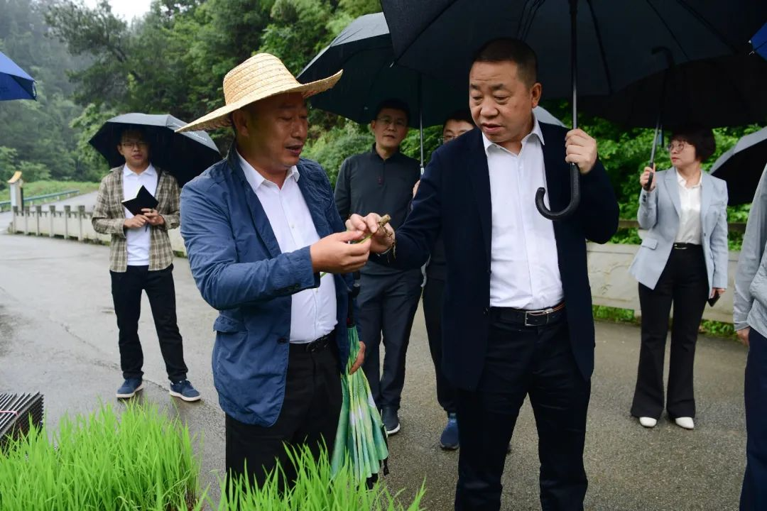 秦永康调研农业生产、粮食安全等工作