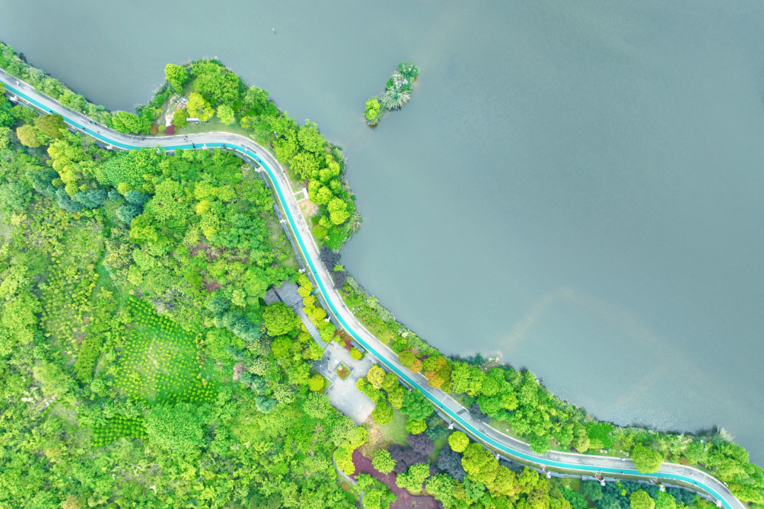 2023年观山湖区生态环境质量状况发布