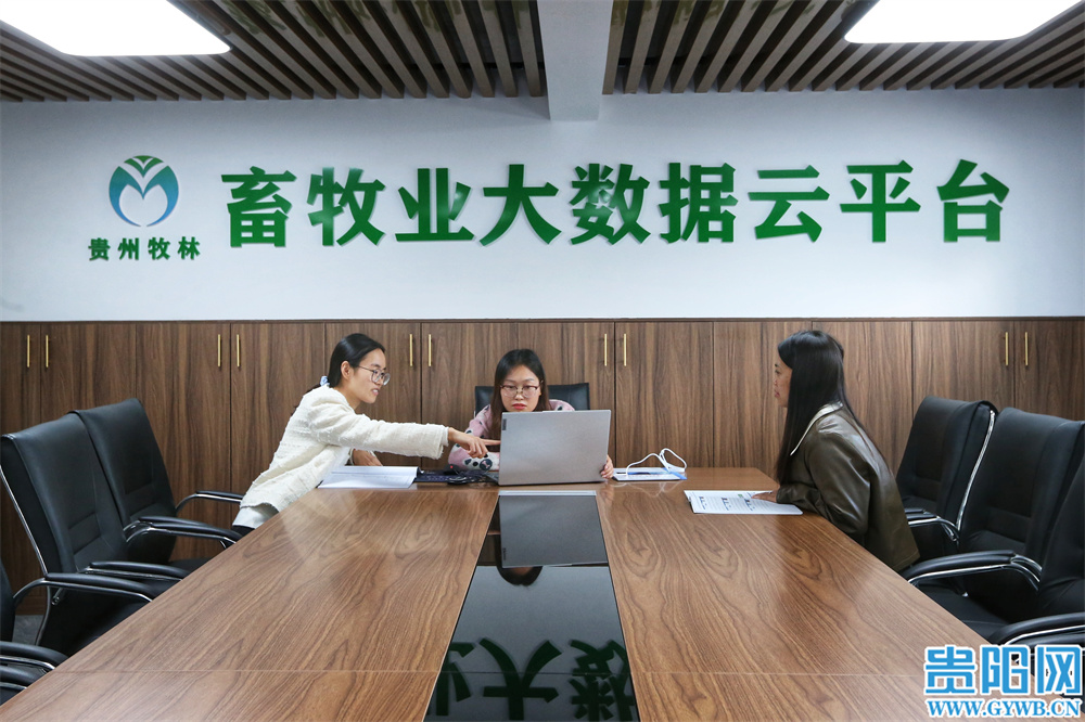 畜牧业大数据云平台“防控管家” (1).jpg