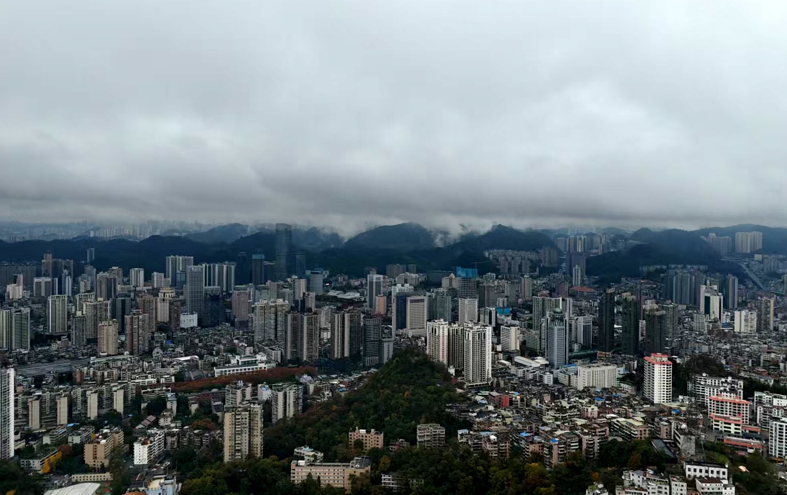 微信图片_20241205102522