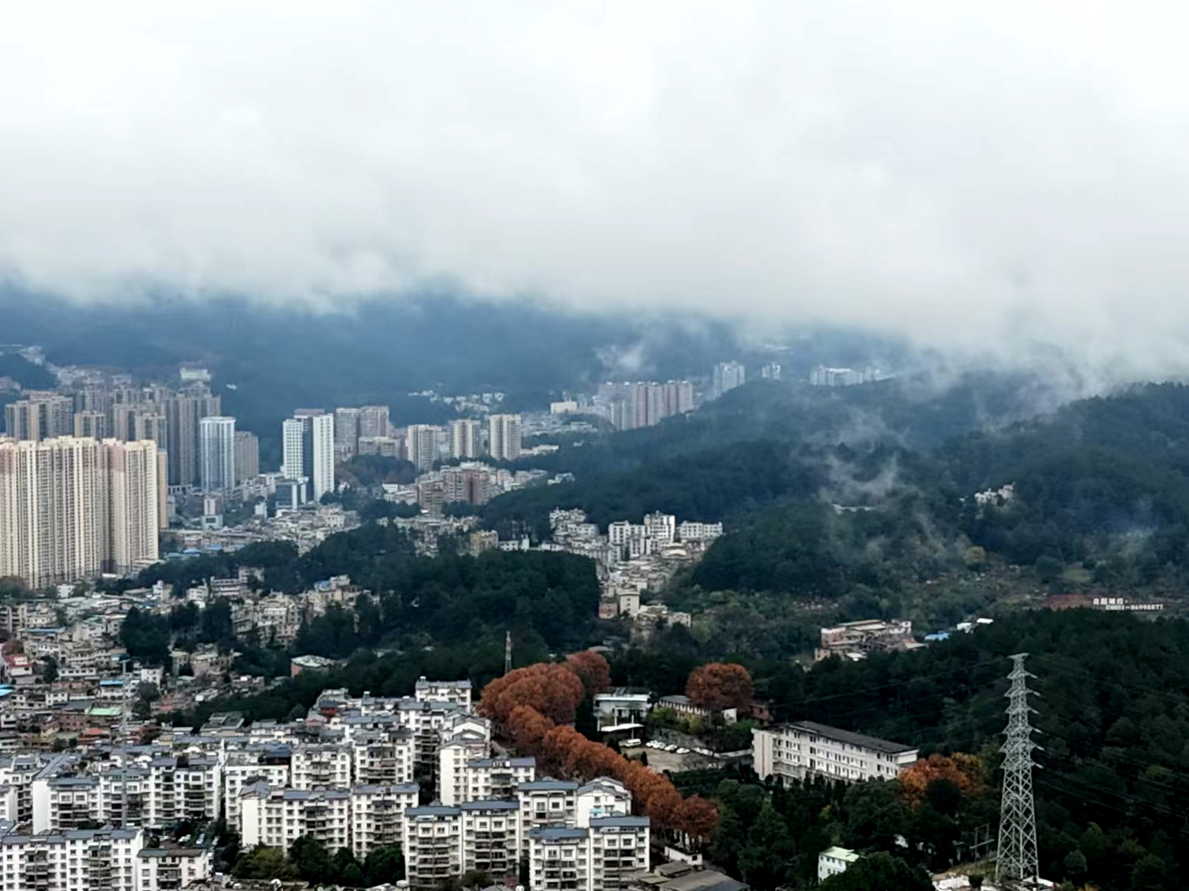 微信图片_20241205102532