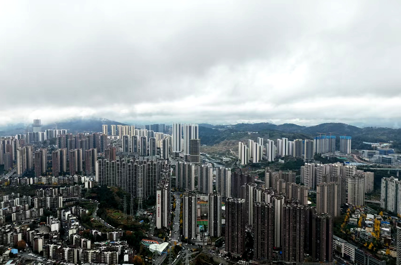 微信图片_20241205102527