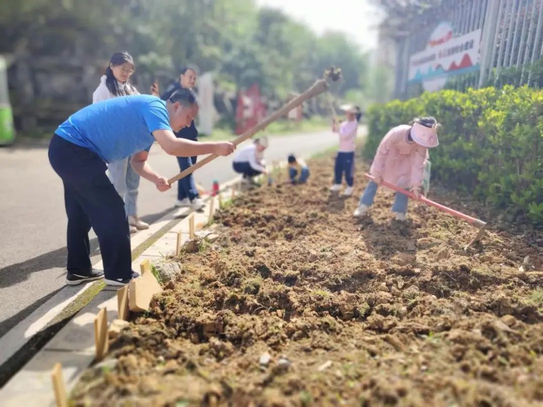 图片5 图片