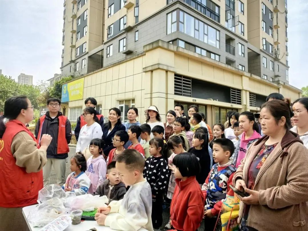 图片4 图片