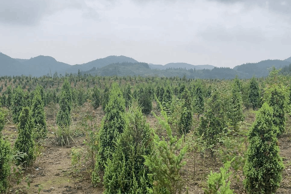 贵阳市开展市县两级联动环保督察反馈问题核查