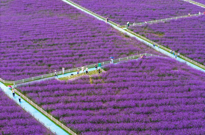 DJI_20250802160715_0016_D.jpg