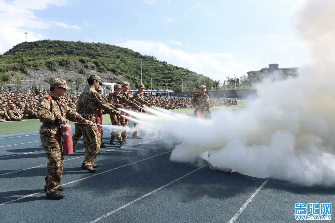 77e462131b914838b4fd4f0432c8e308