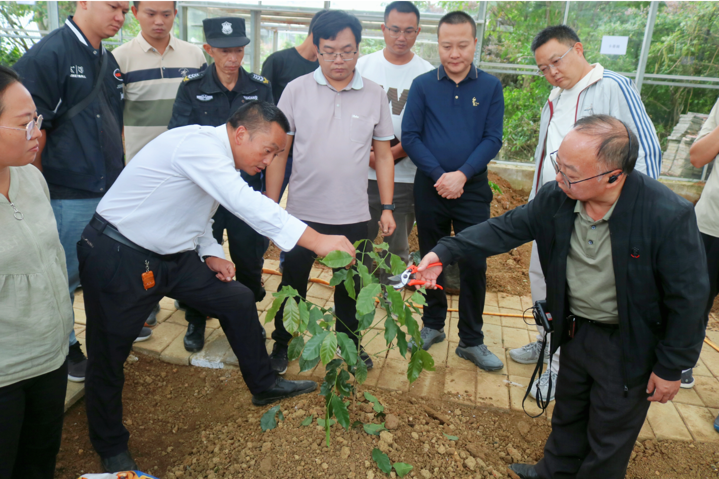 wechat_2025-09-23_184139_138