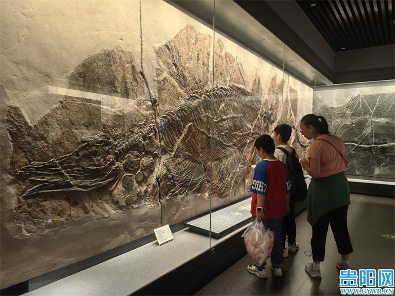 a8f7e05829c44ed19061f872a39b0f8e