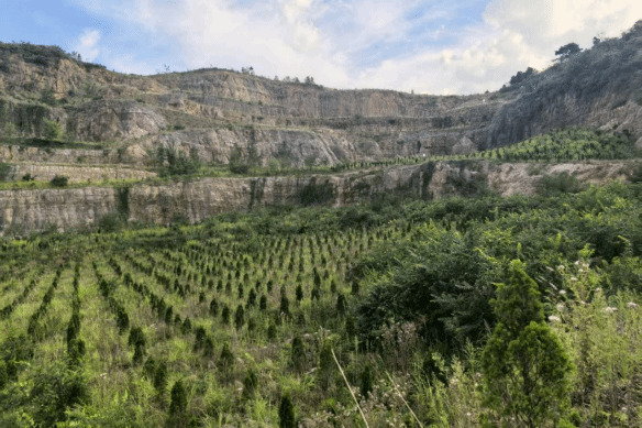 修文县：从生态“伤疤”到绿色画卷的华丽转身