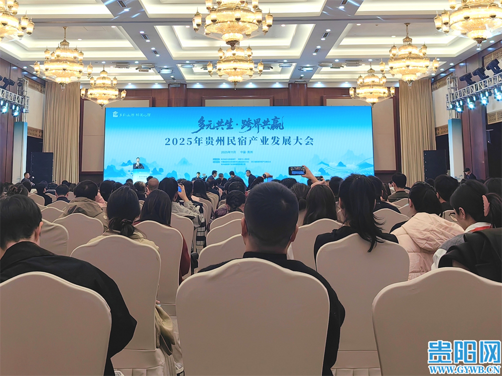 IMG_20251113_100352_edit_79405668445645