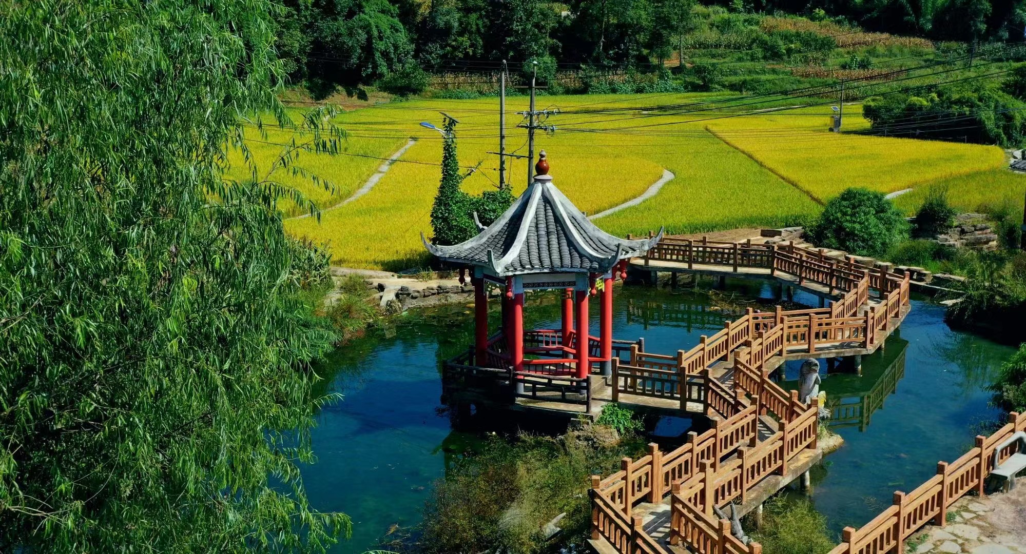 微信图片_202409111136371