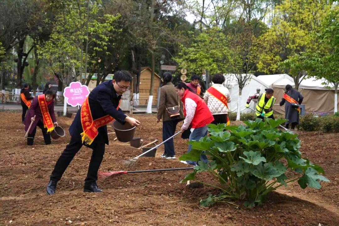 2025年“我为花溪添朵花”文明实践活动在花溪公园举行。