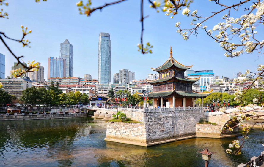 1768371437449042454.png image.png