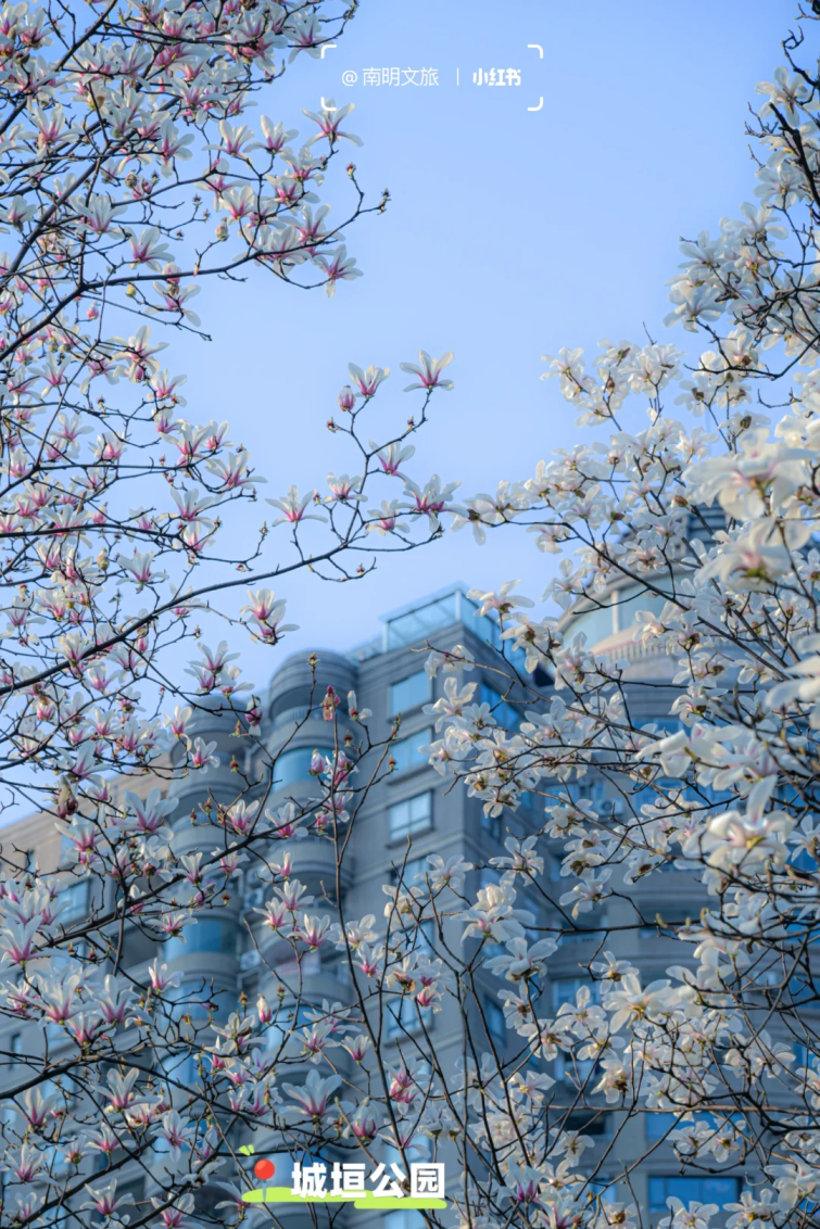 城垣步道2 图片