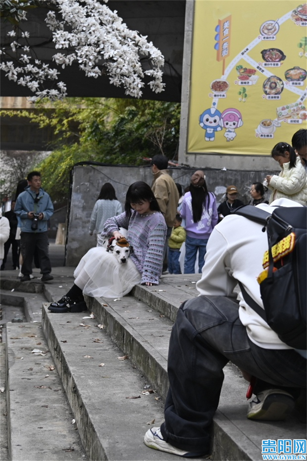 _DSC6691_edit_206707514448281