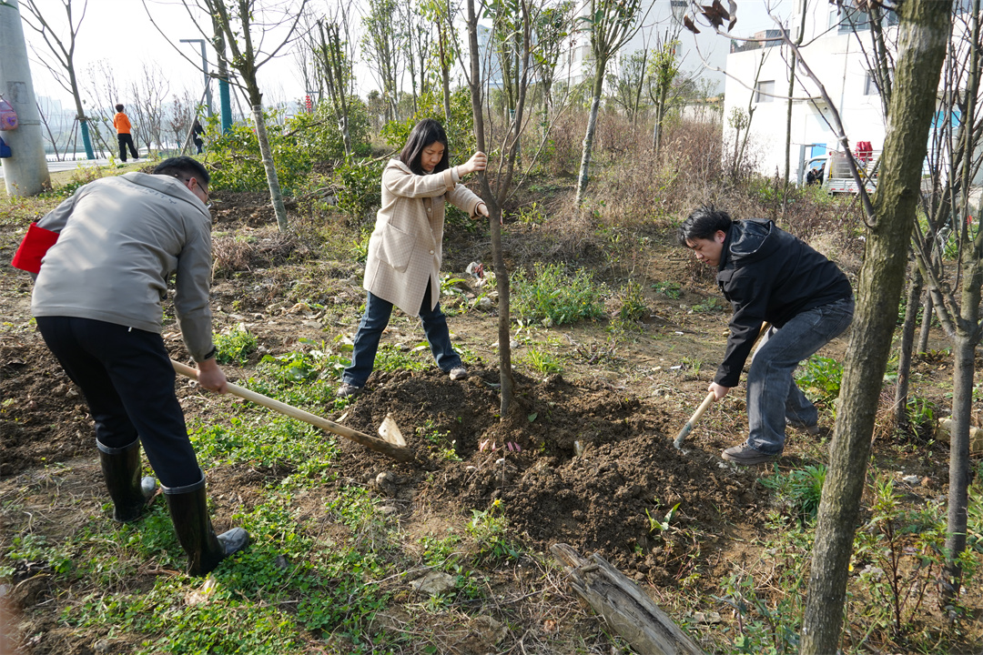 微信图片_20260228160819_596_1325